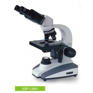 Biological Microscope