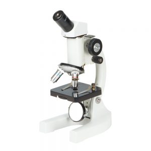 Biological Microscope