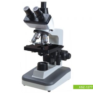 Biological Microscope