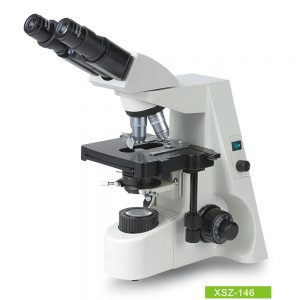 Biological Microscope