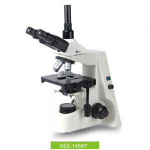 Biological Microscope