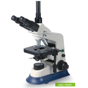 Biological Microscope