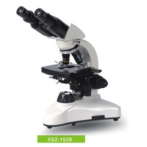 Biological Microscope