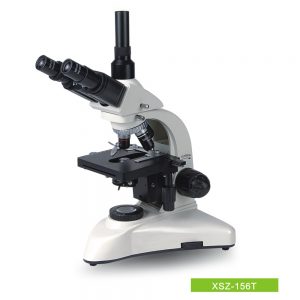 Biological Microscope