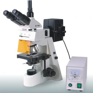 Epi-fluorescent microscope